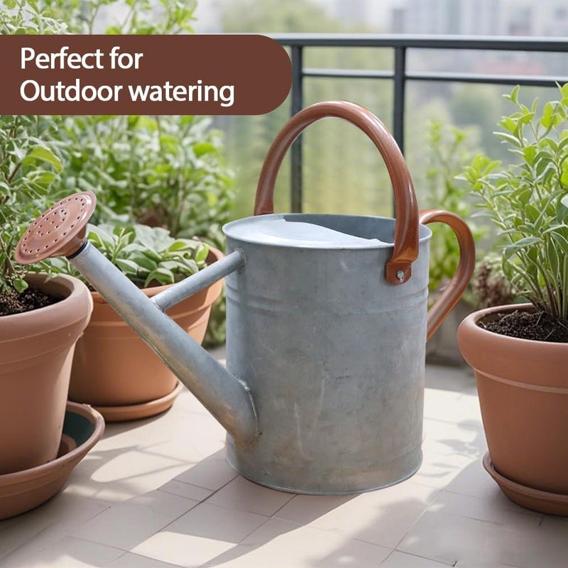 yourjoy Metal Watering Can, One Gallon Watering Cans Stainless Steel for Outdoor Indoor Garden Plants Watering (Zinc 1 Gallon) - Image 4